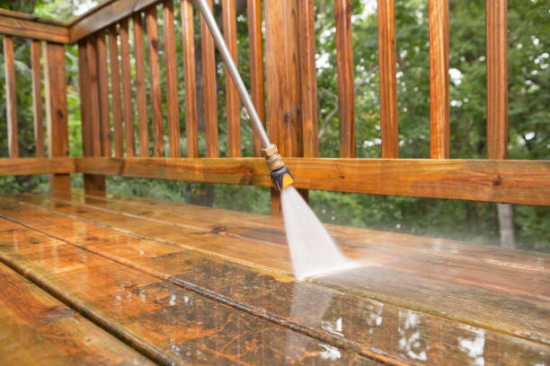 Best Animal Enclosure Cleaning  in Enosburg Falls, VT